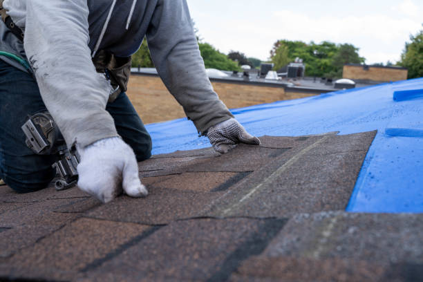 Best Metal Roofing Contractor  in Savannah, GA