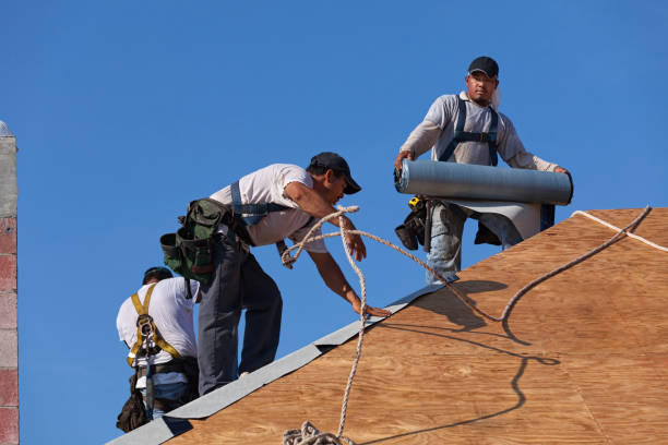 Best Roof Maintenance Services  in Savannah, GA
